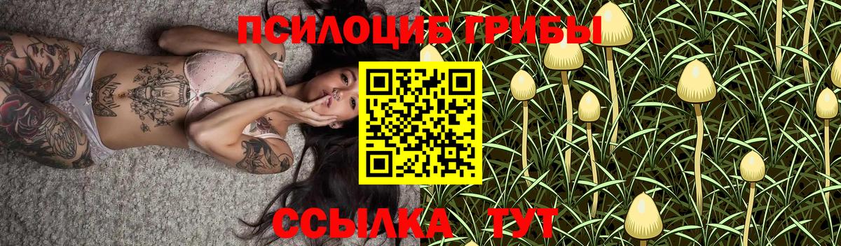 Мелеуз  Псилоцибиновые грибы Psilocybe  Вход с VPN  Псилоцибиновые грибы ЛСД 