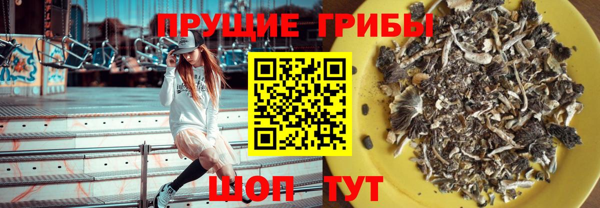 Галлюциногенные грибы GOLDEN TEACHER Мелеуз